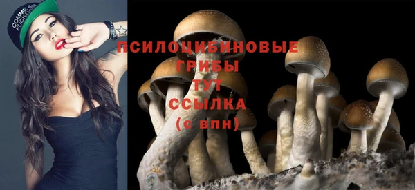spice Алексеевка