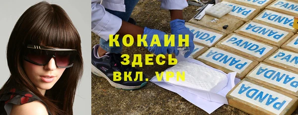 твердый Алзамай