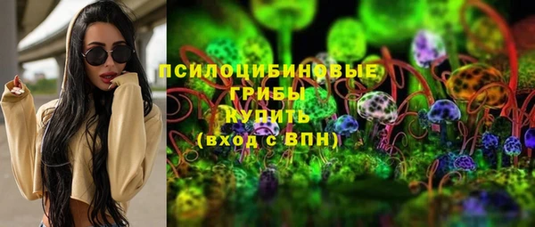 твердый Алзамай