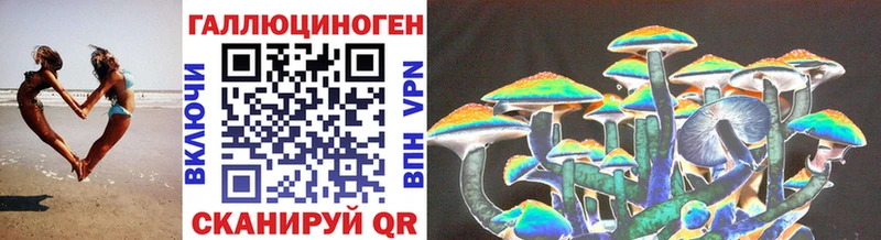 Галлюциногенные грибы Psilocybe Грязи